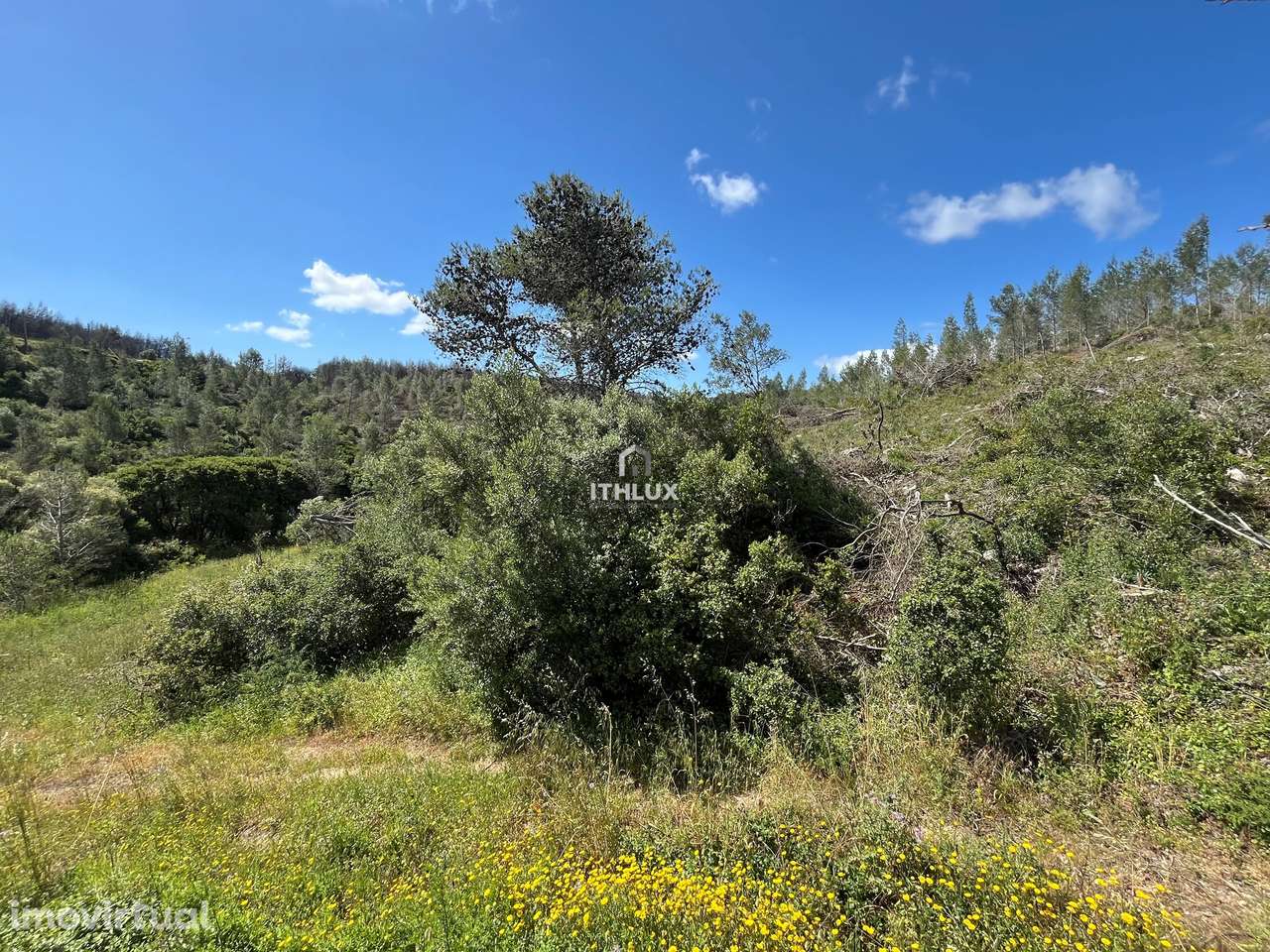 Terreno em excelente localização - Grande imagem: 4/12