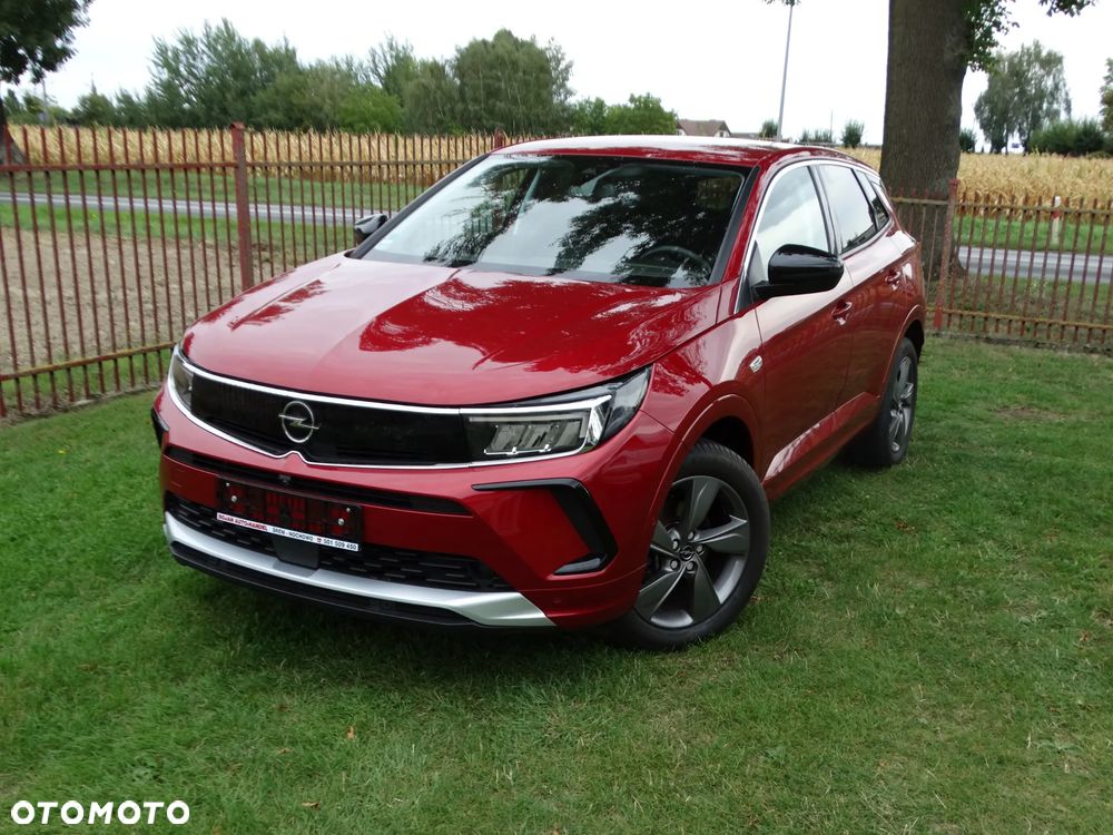 Opel Grandland X - 1