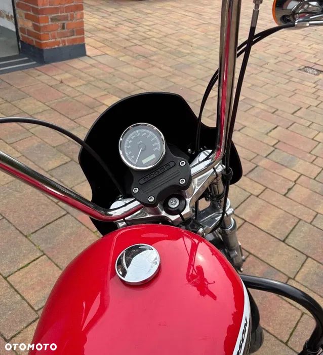 Harley-Davidson Sportster Custom 883C - 4
