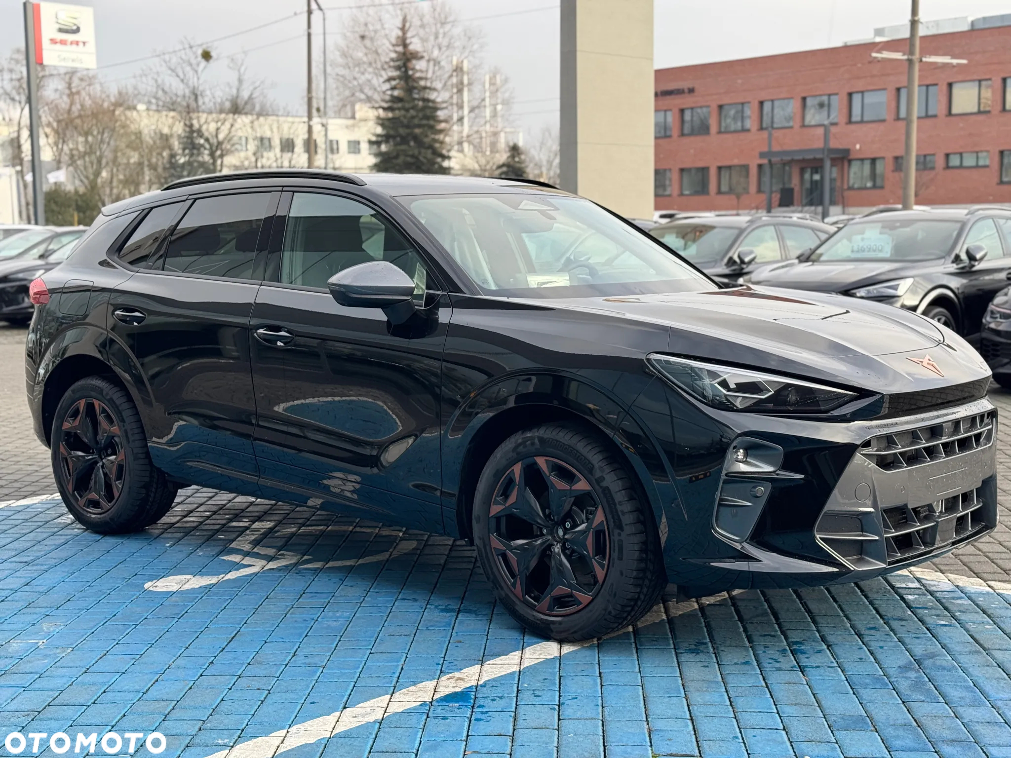 Cupra Terramar 2.0 TSI 4Drive VZ DSG - 6