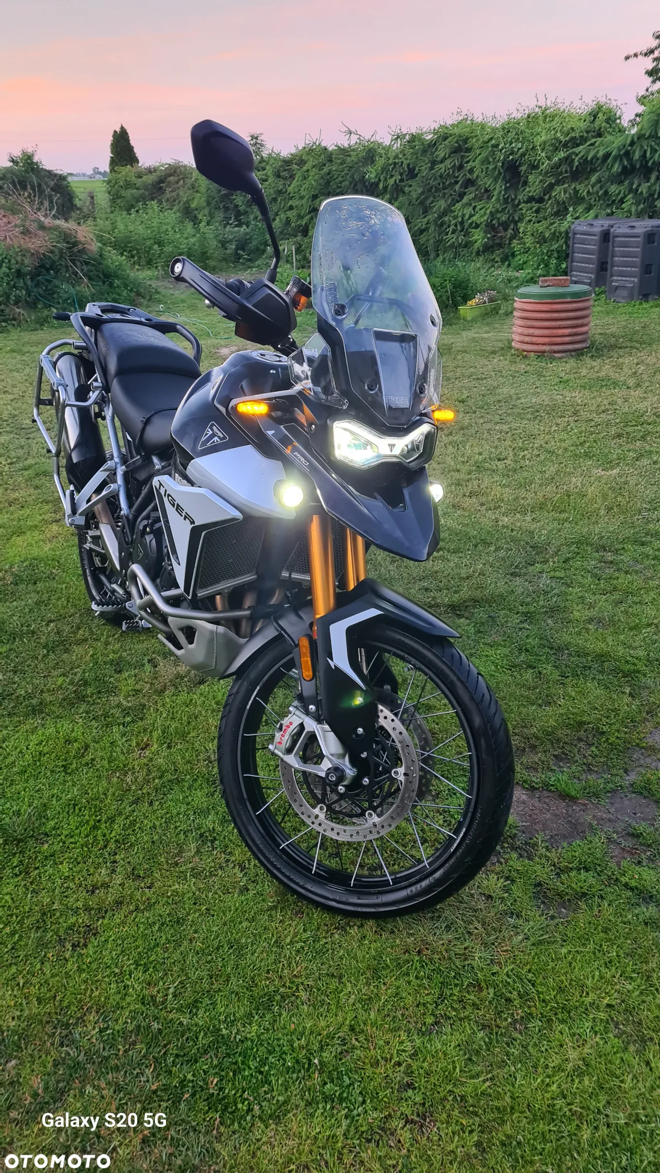 Triumph Tiger - 13