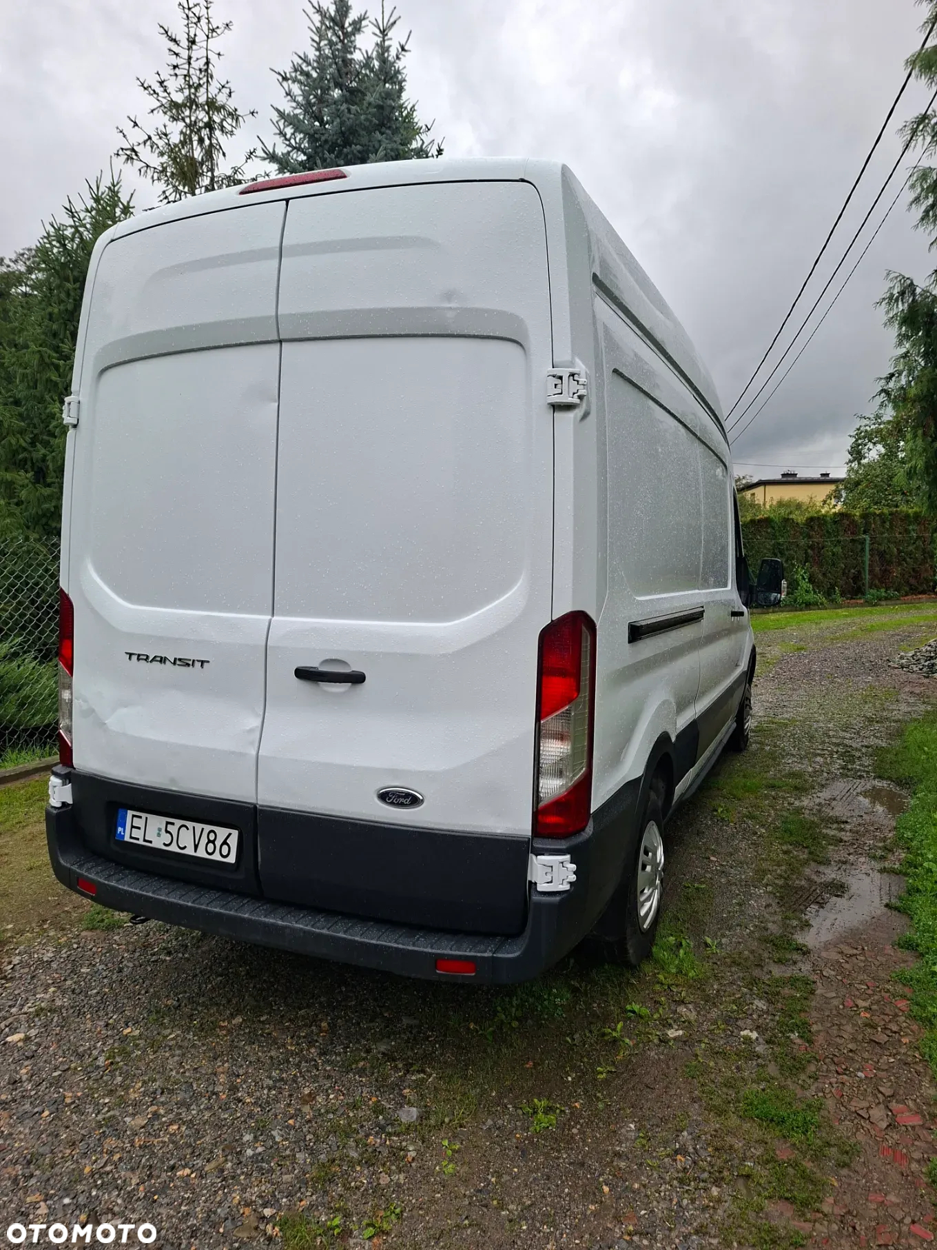 Ford Transit - 5