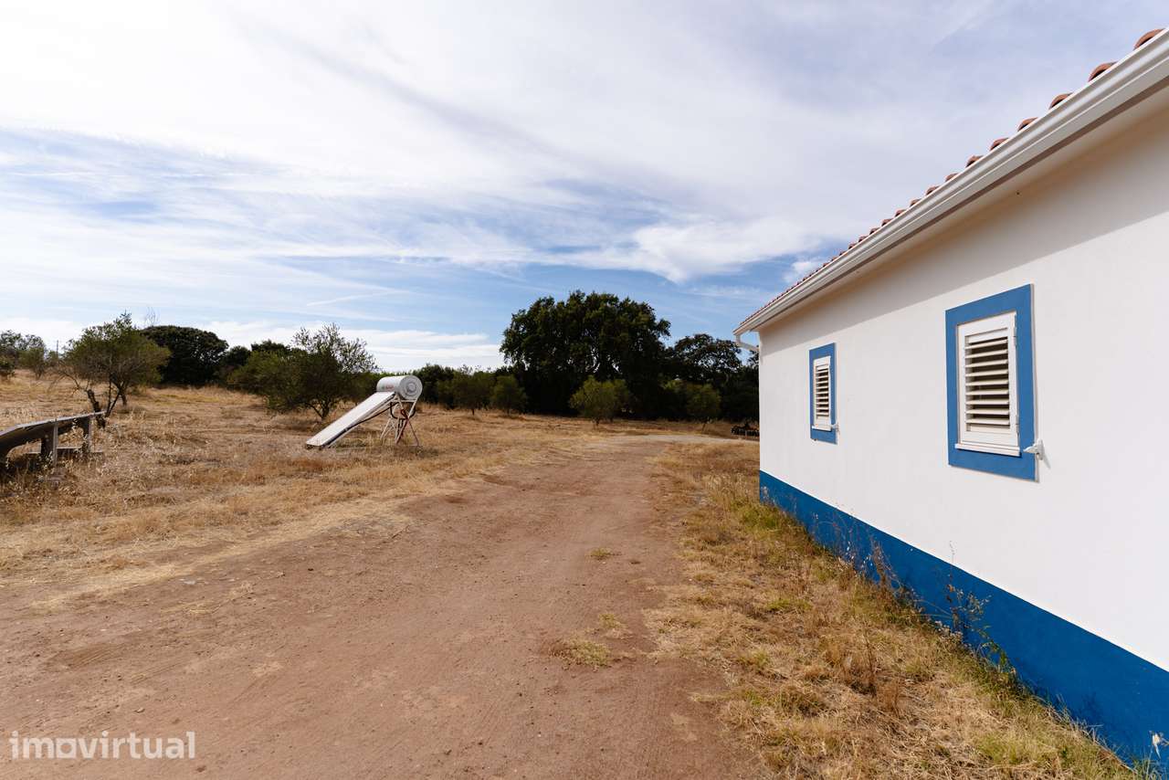 Moradia T4 em Elvas - Compre o Seu Sossego Neste Monte - Grande imagem: 3/50