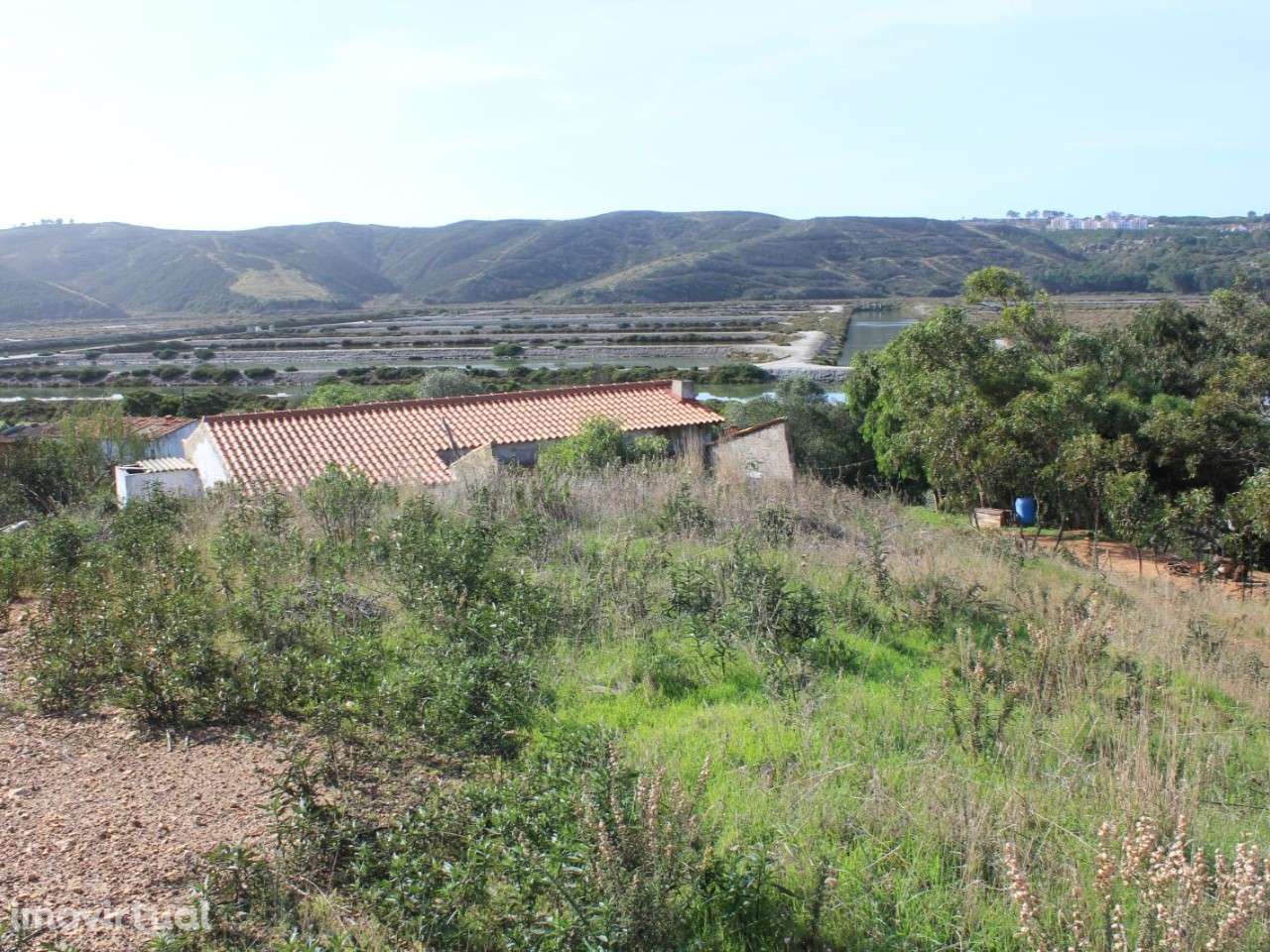 Quintinha Medronheira - Grande imagem: 3/12