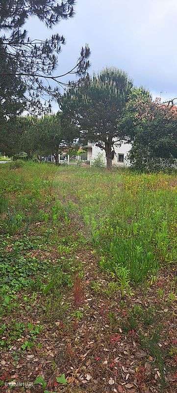 Terreno  para venda - Grande imagem: 2/5