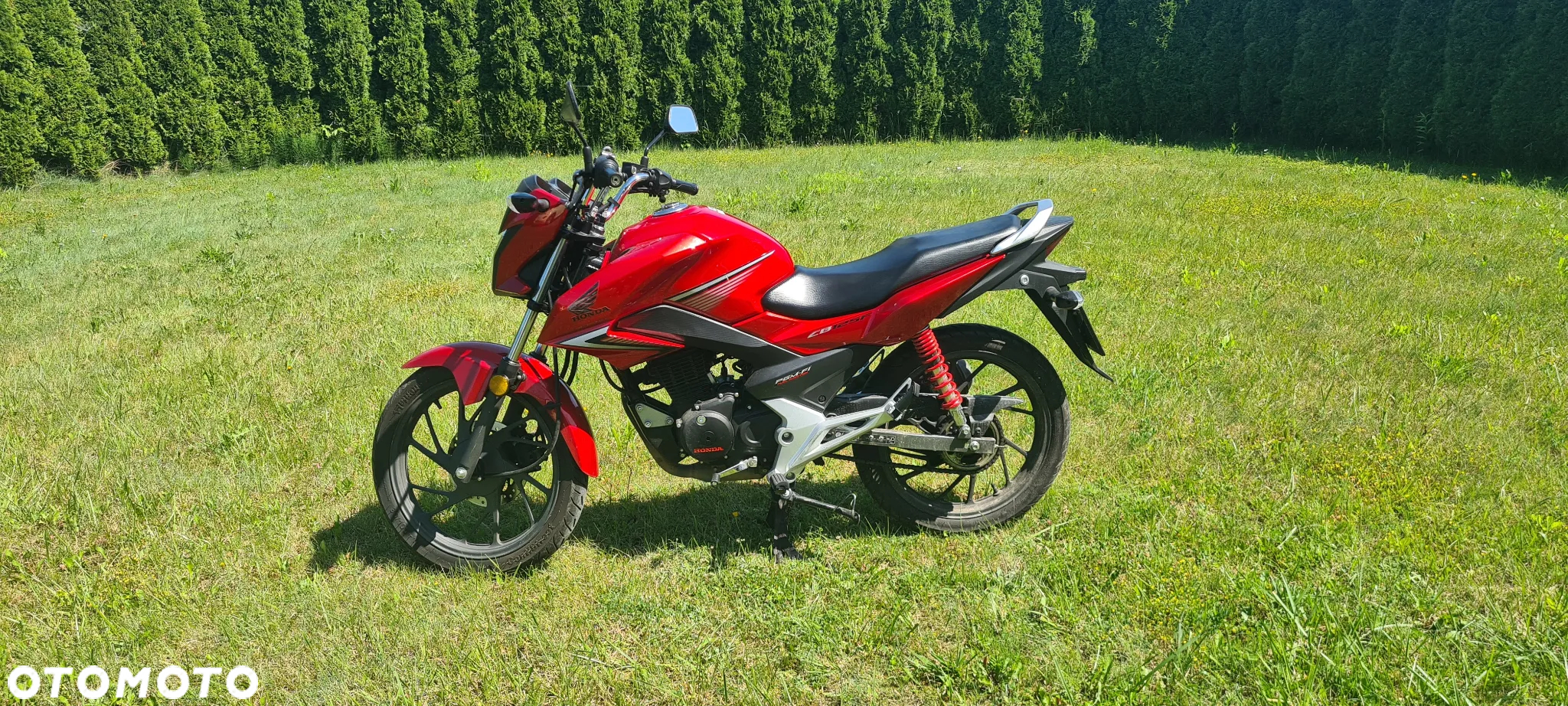 Honda CBF - 3