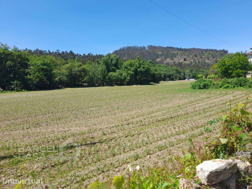 Terreno junto ao Rio Neiva em Panque - Barcelos - Grande imagem: 2/20