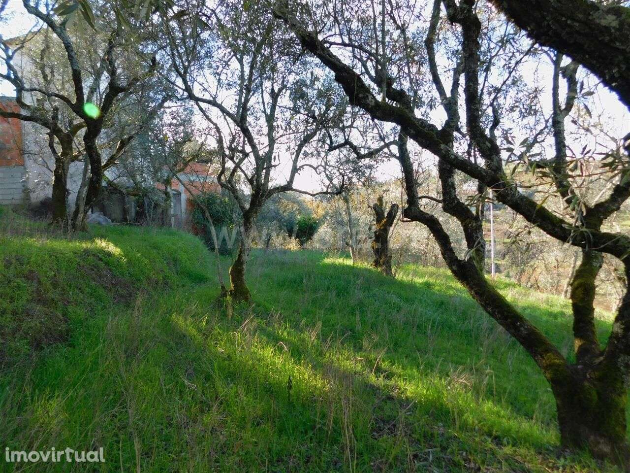 Terreno / Seia, Seia, São Romão e Lapa dos Dinheiros - Grande imagem: 5/5