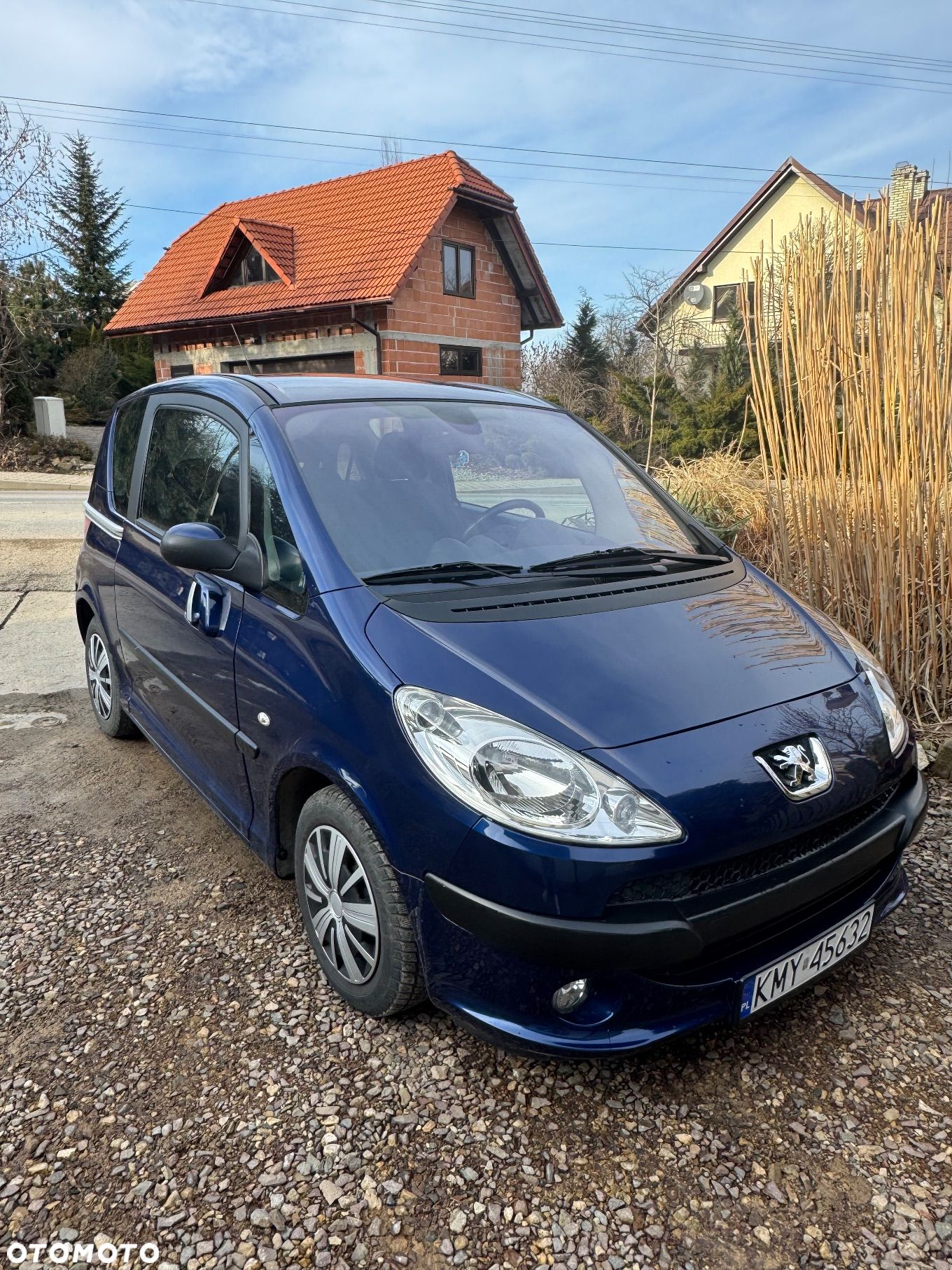 Peugeot 1007 75 Filou - 1