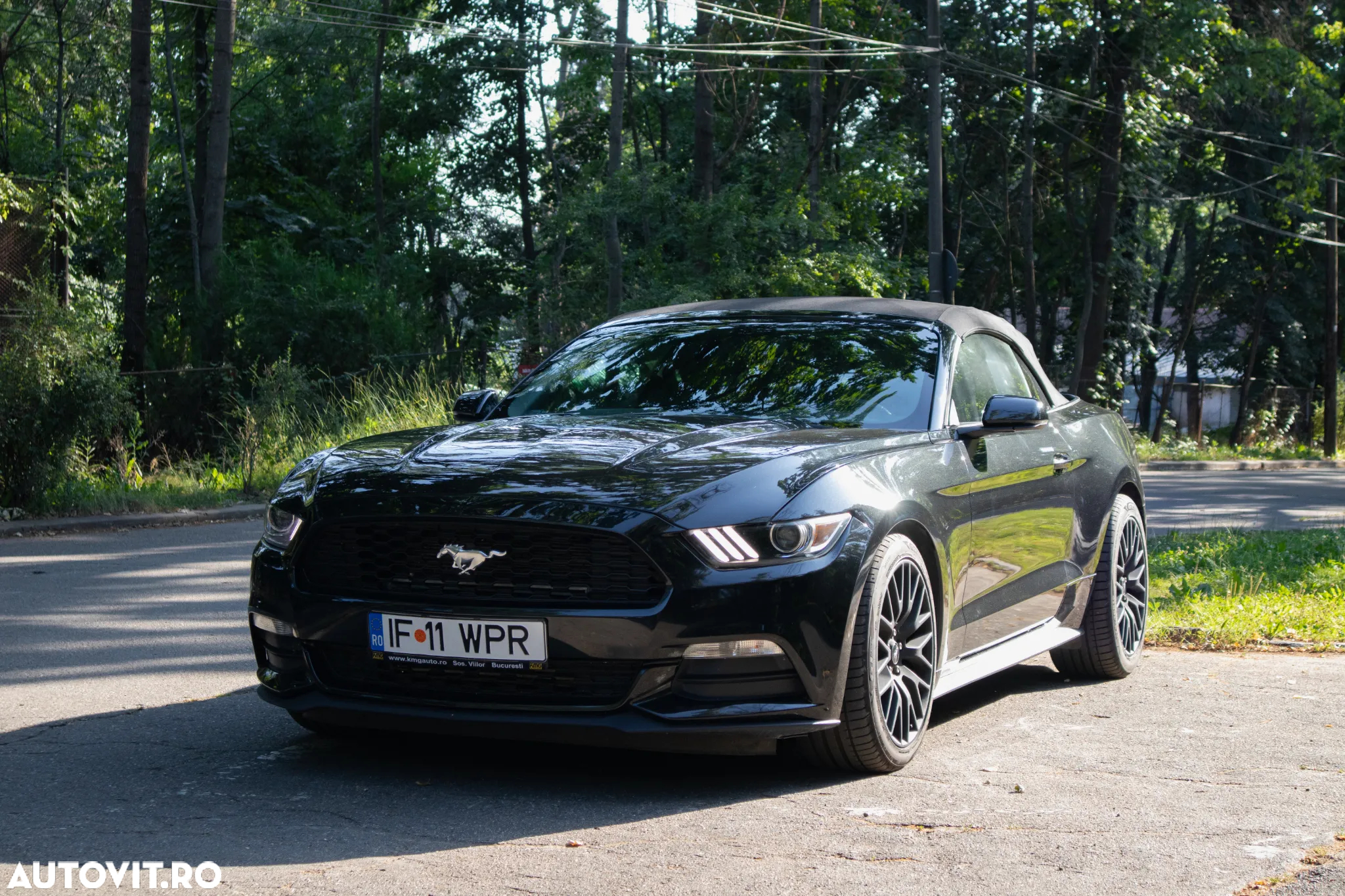 Ford Mustang Cabrio 2.3 Eco Boost - 4