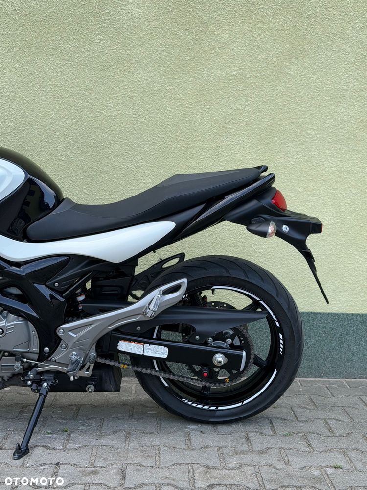 Suzuki Gladius - 23