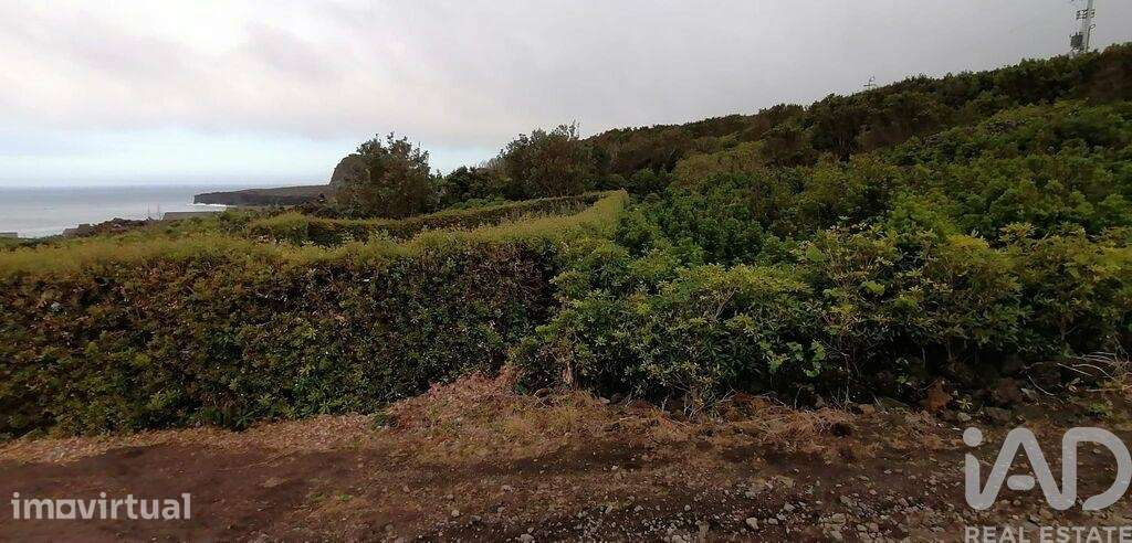 Terreno em Piedade - Grande imagem: 4/9
