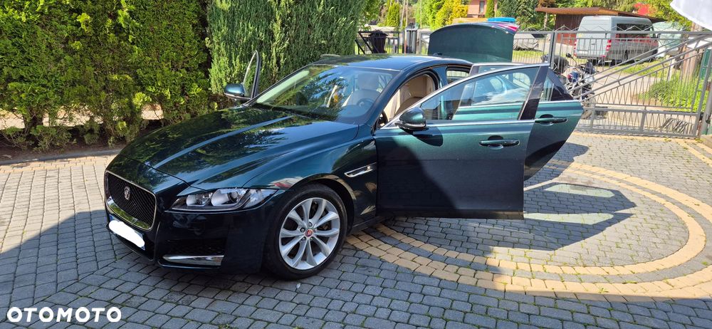 Jaguar XF 30d Prestige - 14