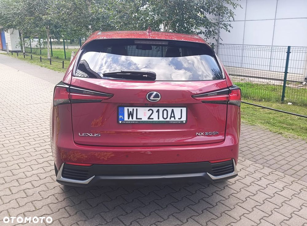 Lexus NX - 14