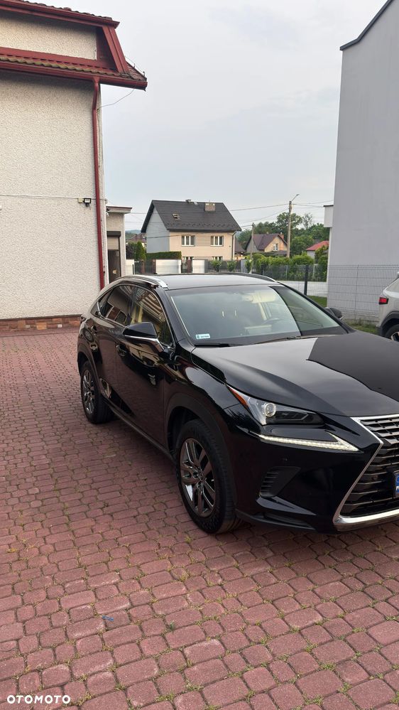 Lexus NX 300h Elegance + Business AWD - 5