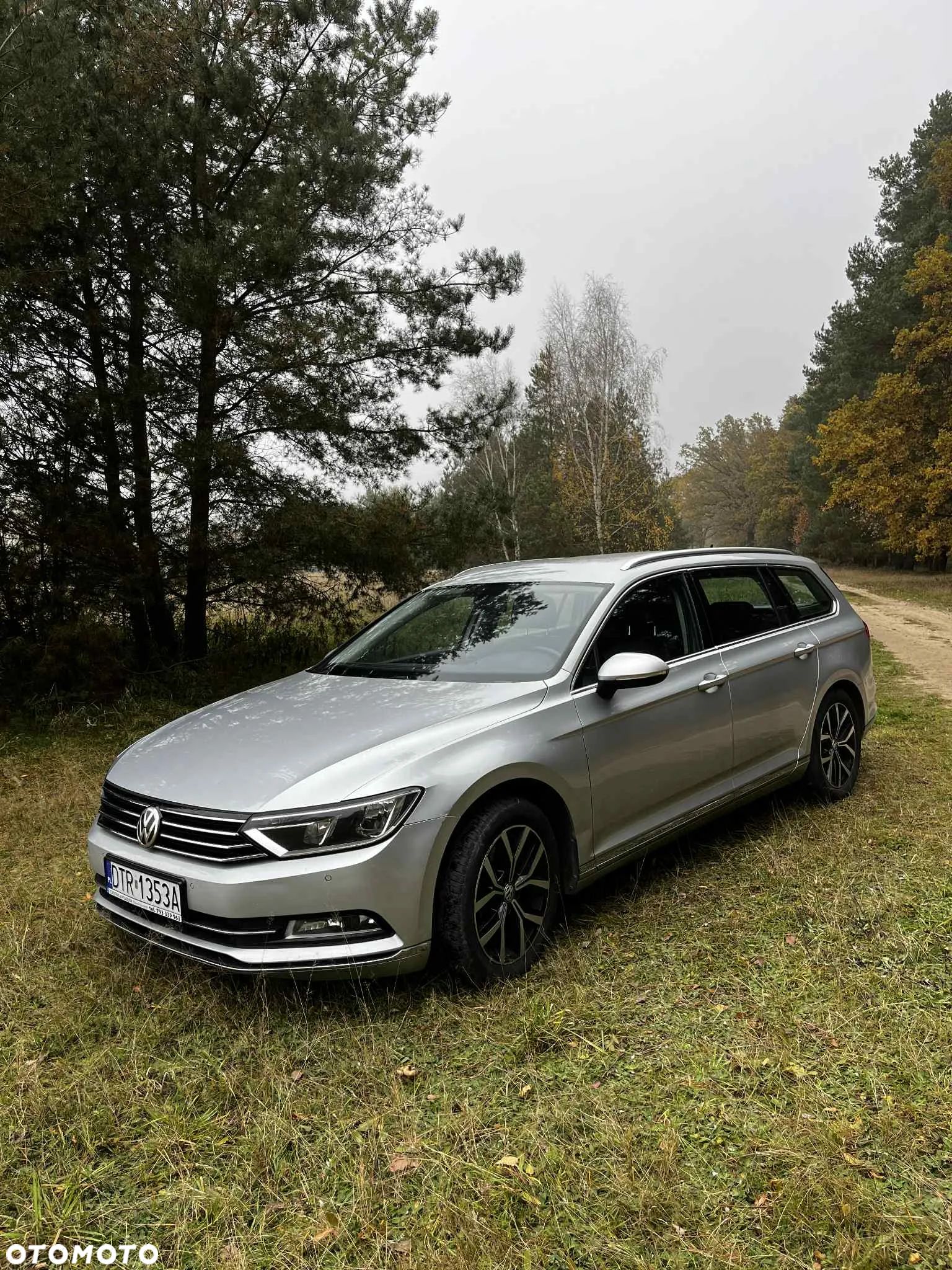 Volkswagen Passat - 1