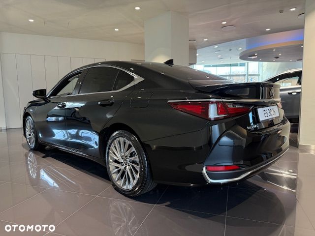 Lexus ES 300h Omotenashi - 3