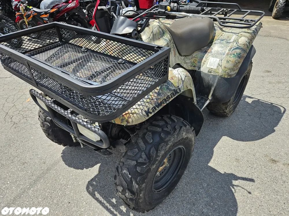 Kawasaki Brute Force - 7