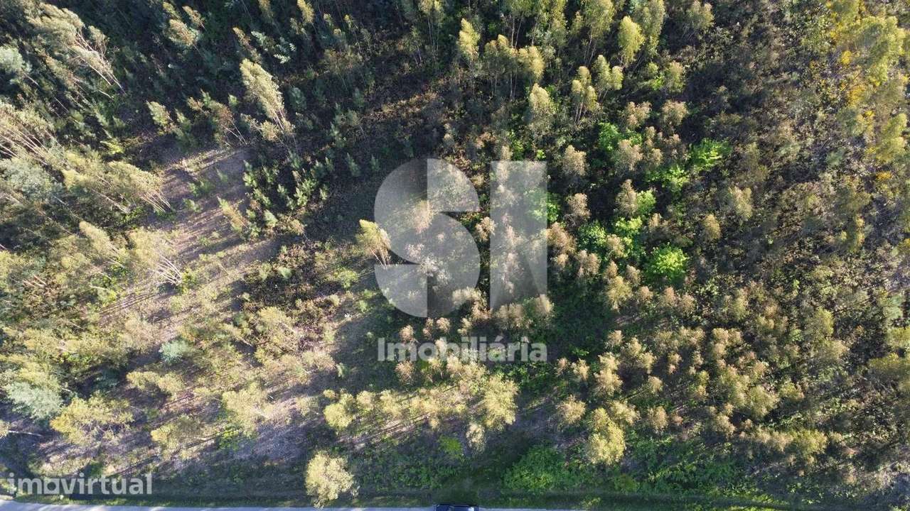 Terreno em Arganil - Grande imagem: 4/6
