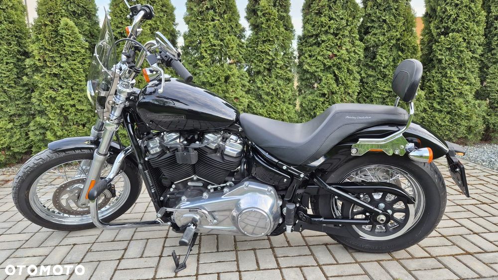 Harley-Davidson Softail Standard - 9