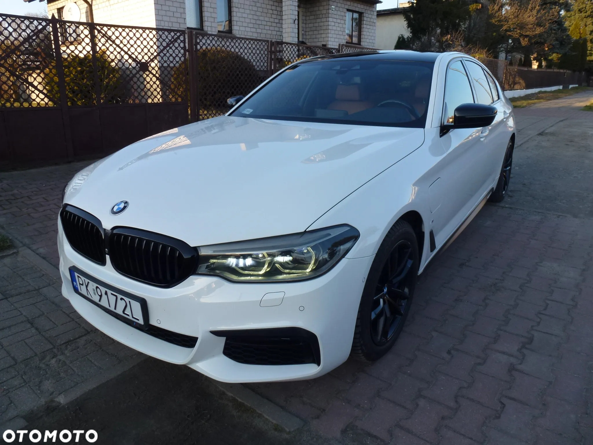 BMW Seria 5 530e iPerformance - 2