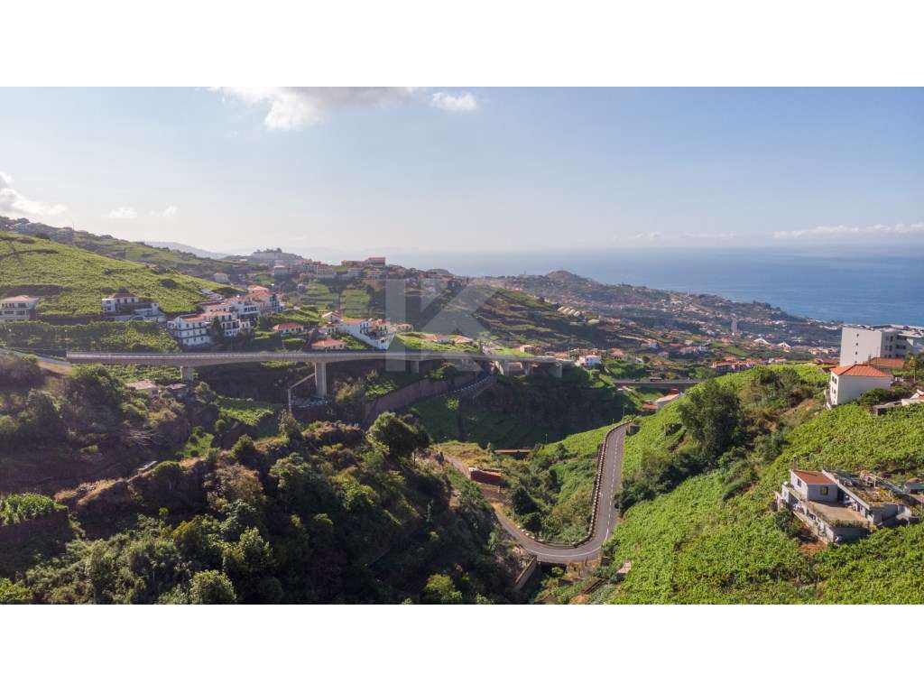 Lote Estreito de Câmara de Lobos - Grande imagem: 3/8