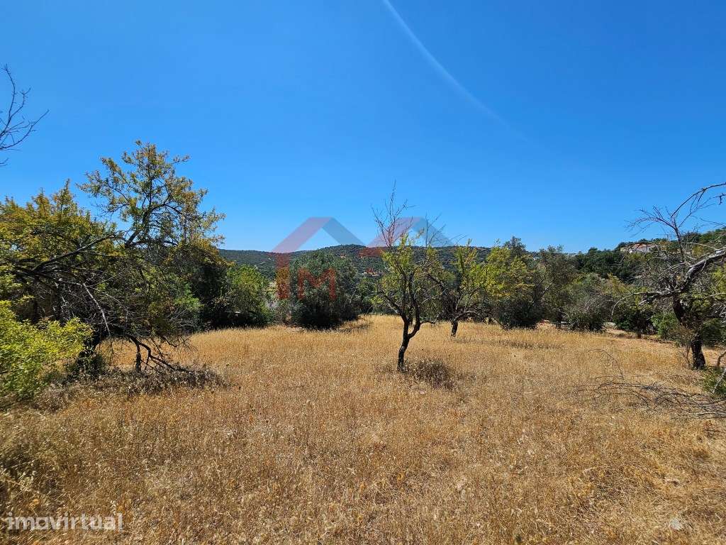 Terreno com ruína em zona calma de Monte Seco - Loulé - Grande imagem: 2/18