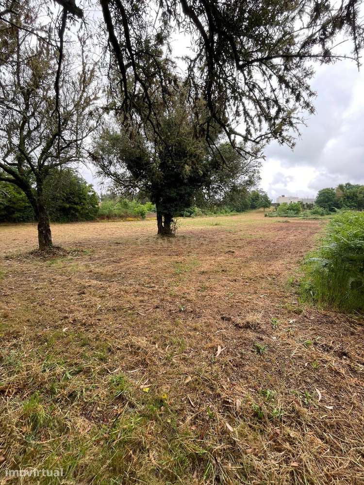 Terreno em Nogueira com Vista para a Montanha - Grande imagem: 3/12