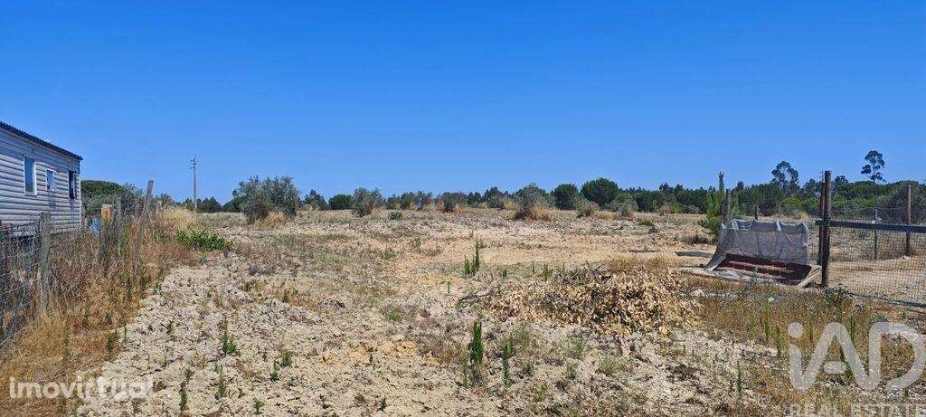 Terreno para construção em Branca de 7020,00 m2 - Grande imagem: 2/16
