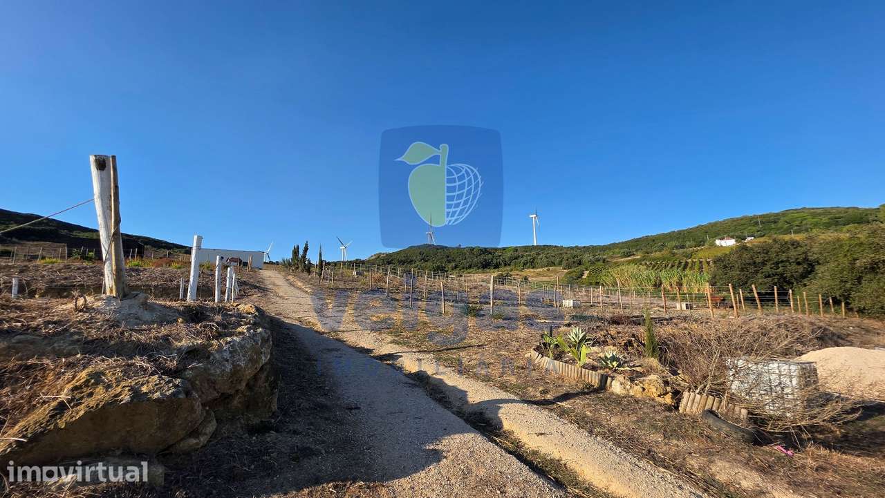 Terreno com 70.600 m², viabilidade para construção de moradia com proj - Grande imagem: 4/15