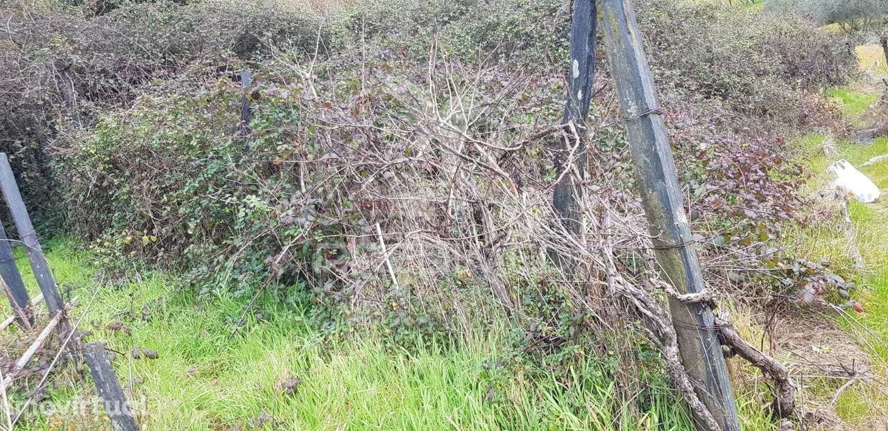 Terreno Rústico - Grande imagem: 2/3