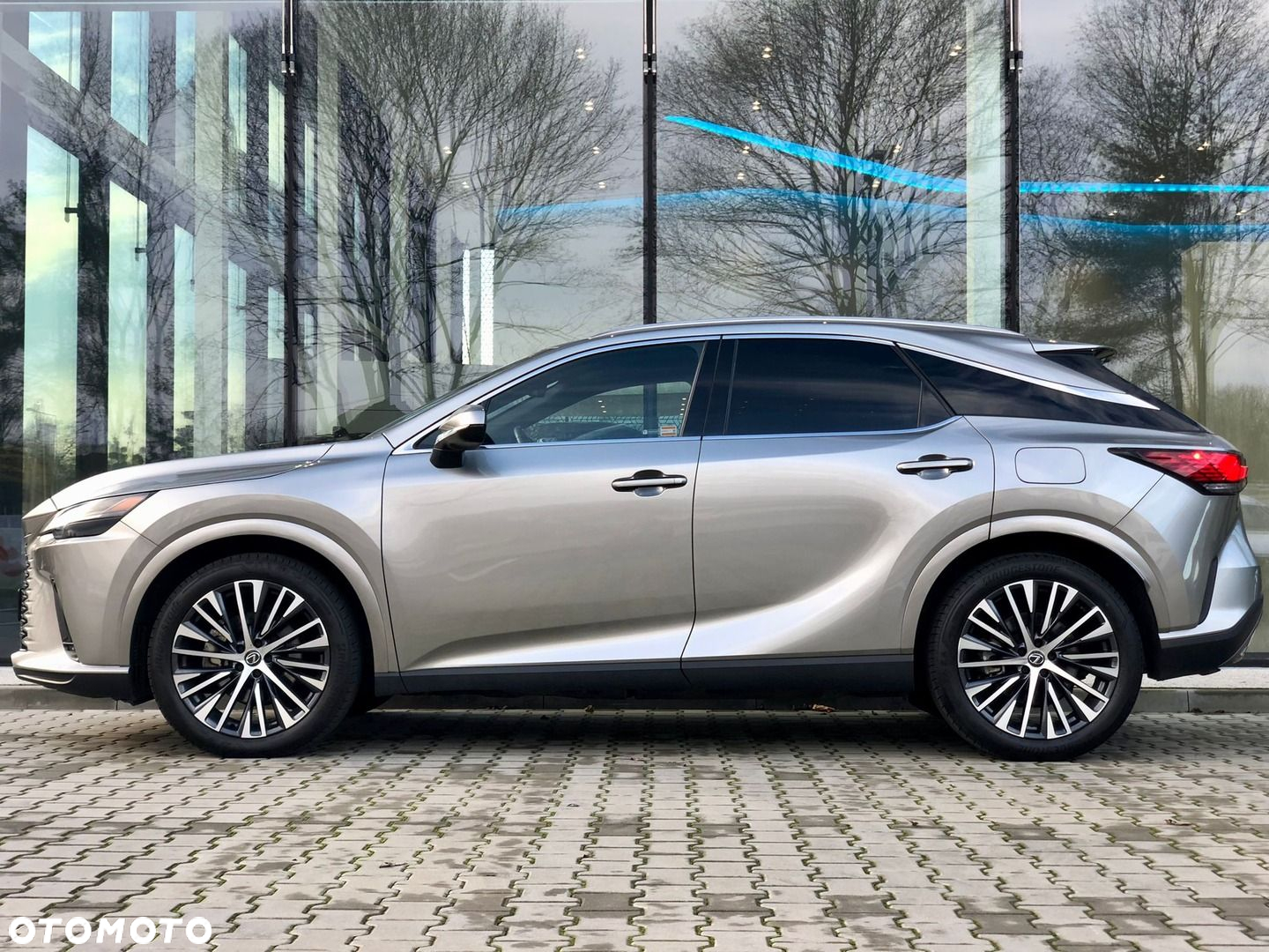Lexus RX - 3