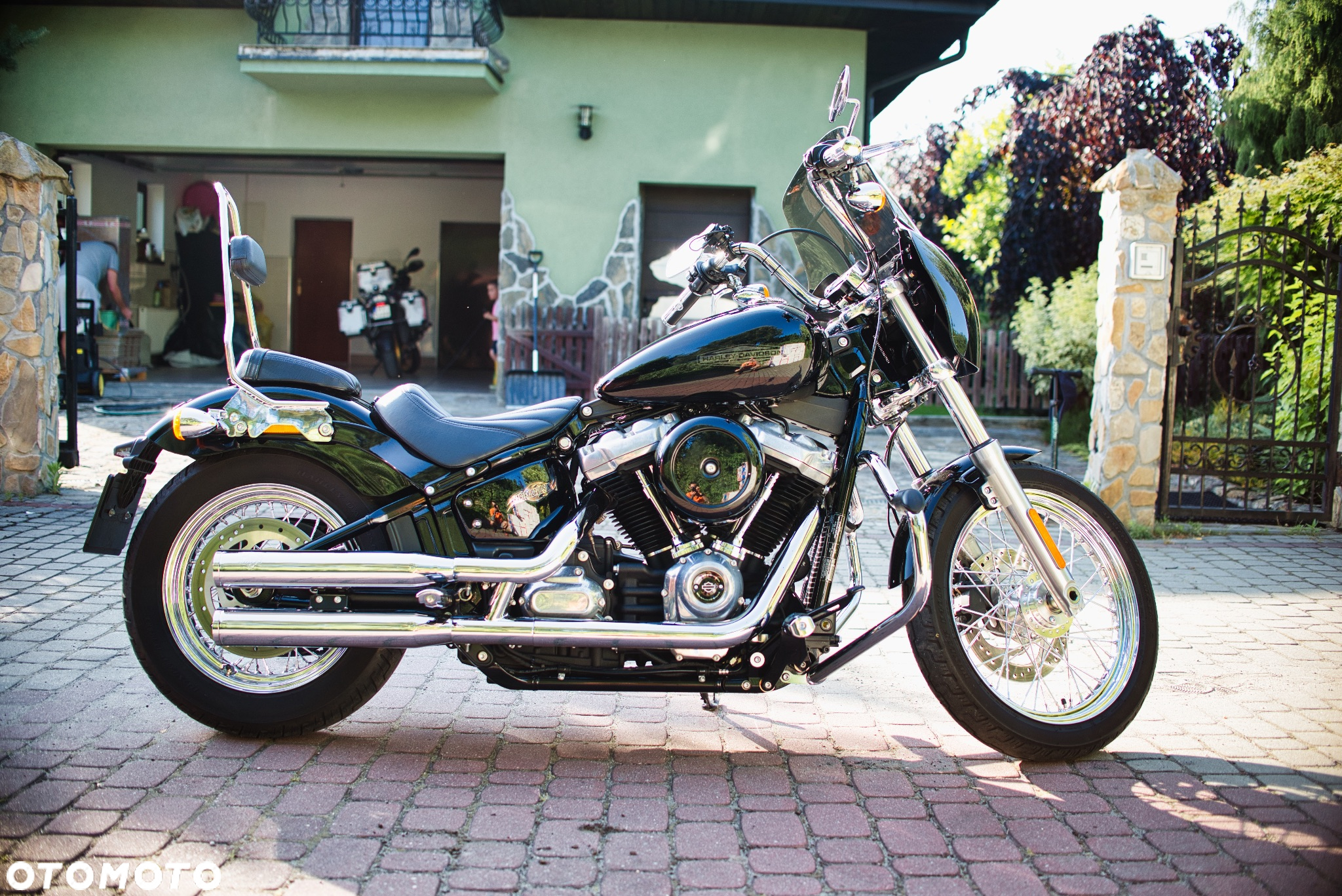 Harley-Davidson Softail Standard - 5