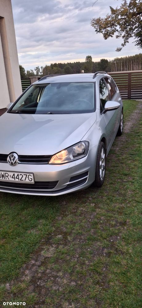 Volkswagen Golf - 7