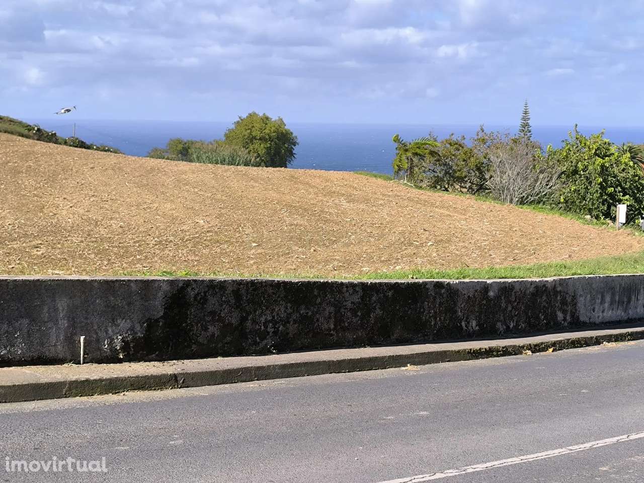 Terreno Agrícola com Viabilidade de Construção - Grande imagem: 4/7