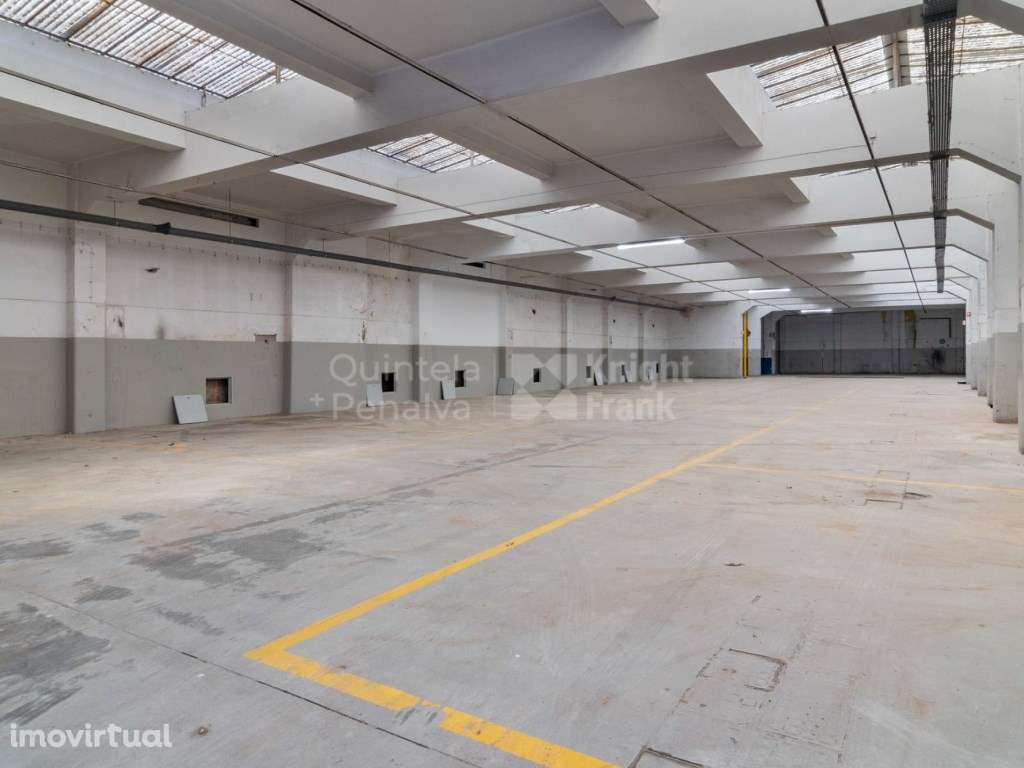 Armazém e loja para arrendamento em Sete Rios - Grande imagem: 3/49