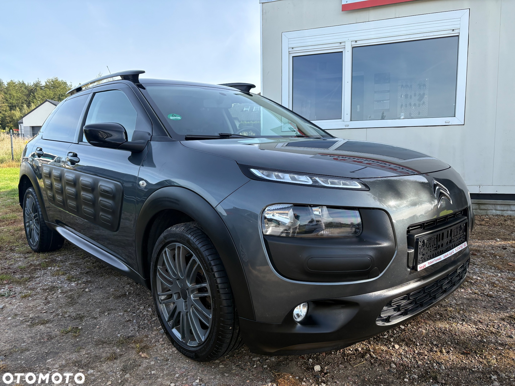 Citroën C4 Cactus 1.6 e-HDi Shine ETG - 21