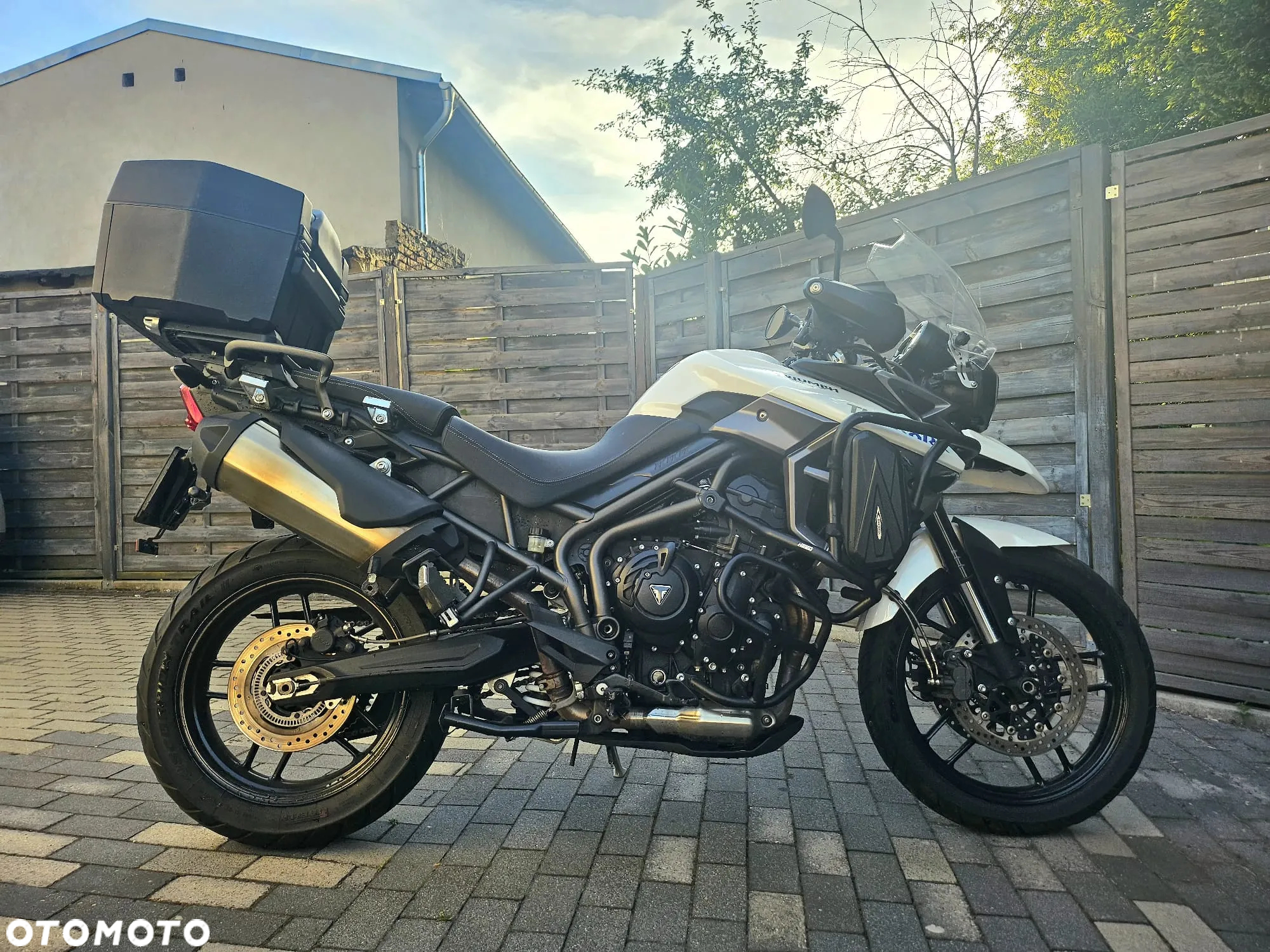 Triumph Tiger - 13