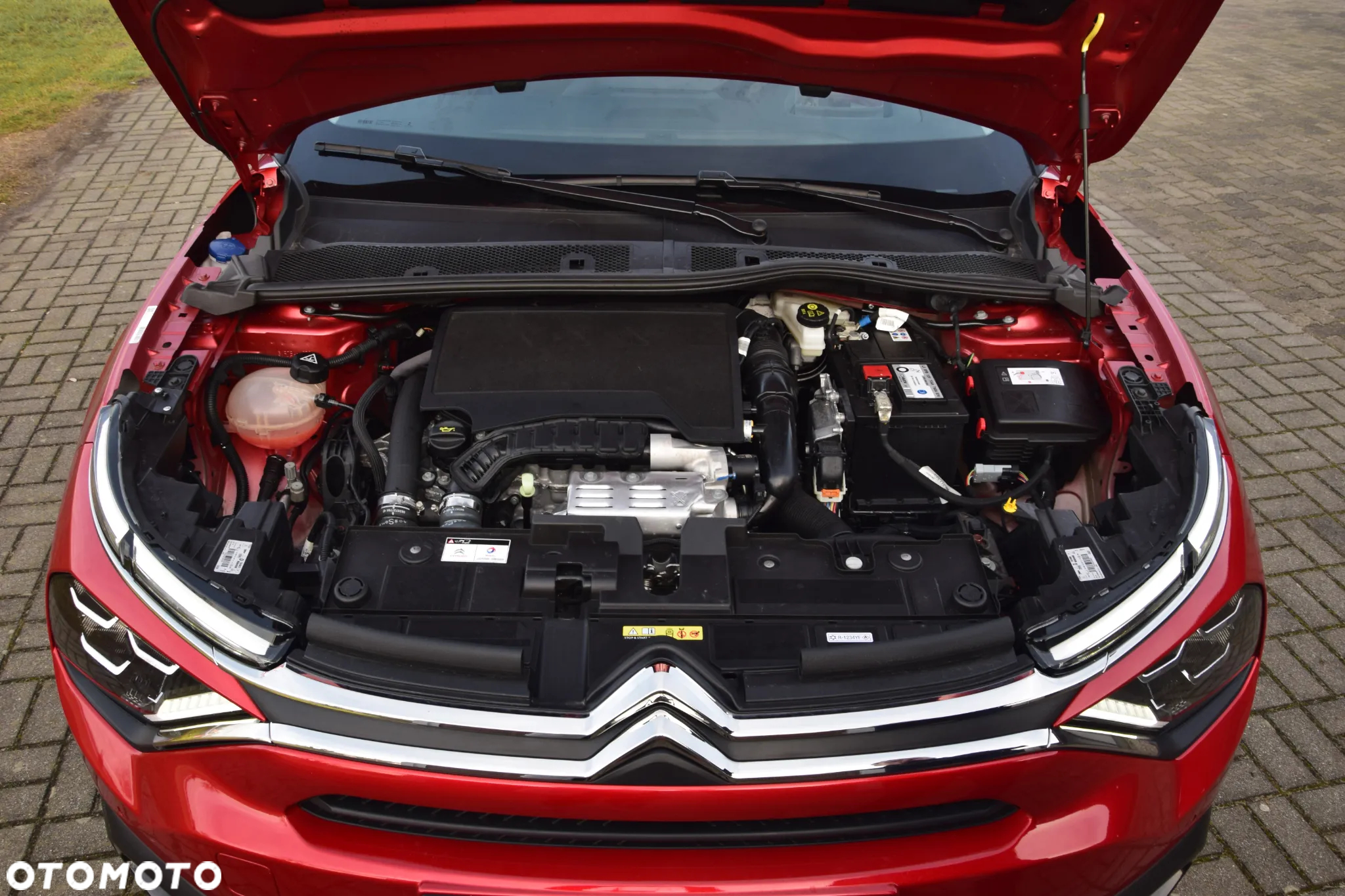 Citroën C4 1.2 PureTech Feel Pack S&S EAT8 - 6