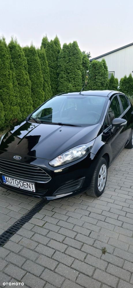 Ford Fiesta - 15