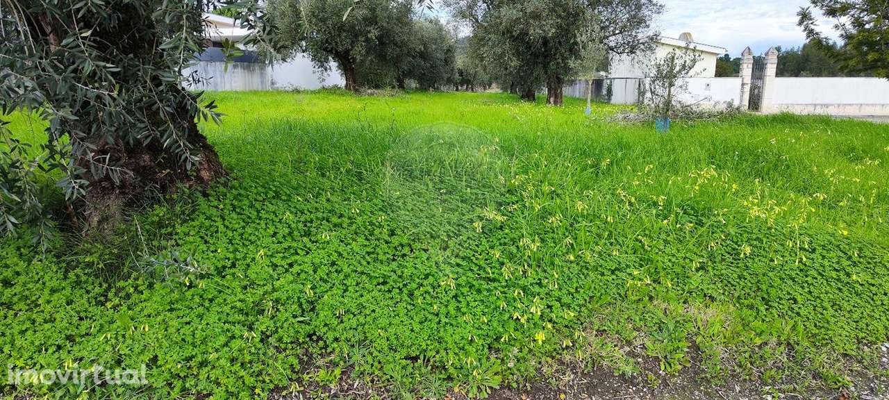 Terreno  para venda - Grande imagem: 4/12