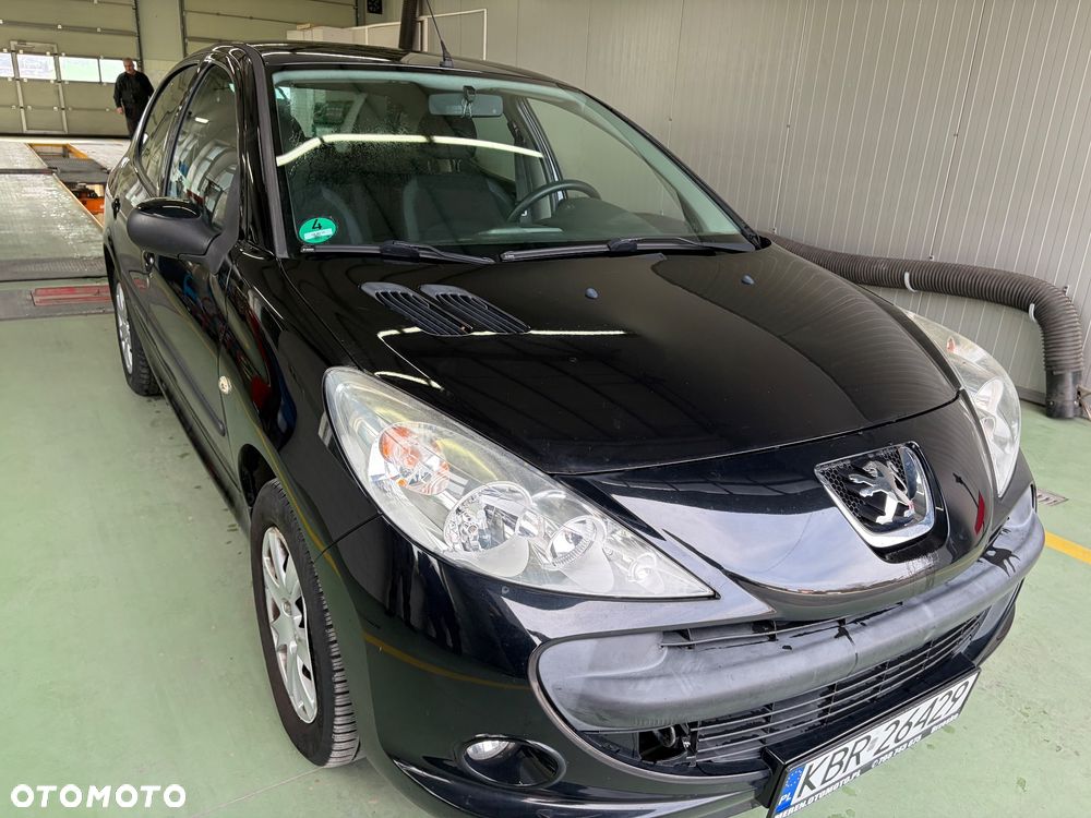 Peugeot 206 plus 60 - 11