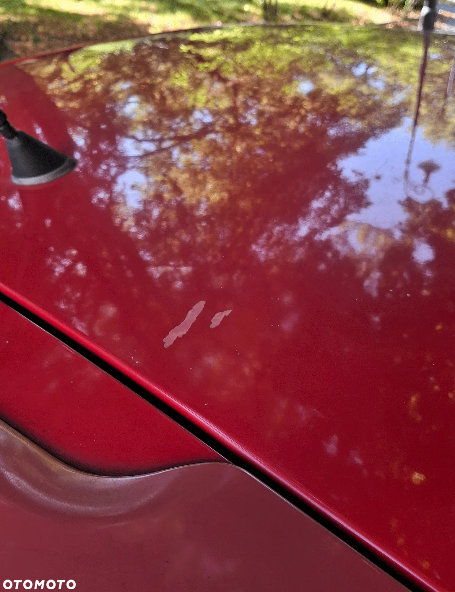 Fiat Punto - 11