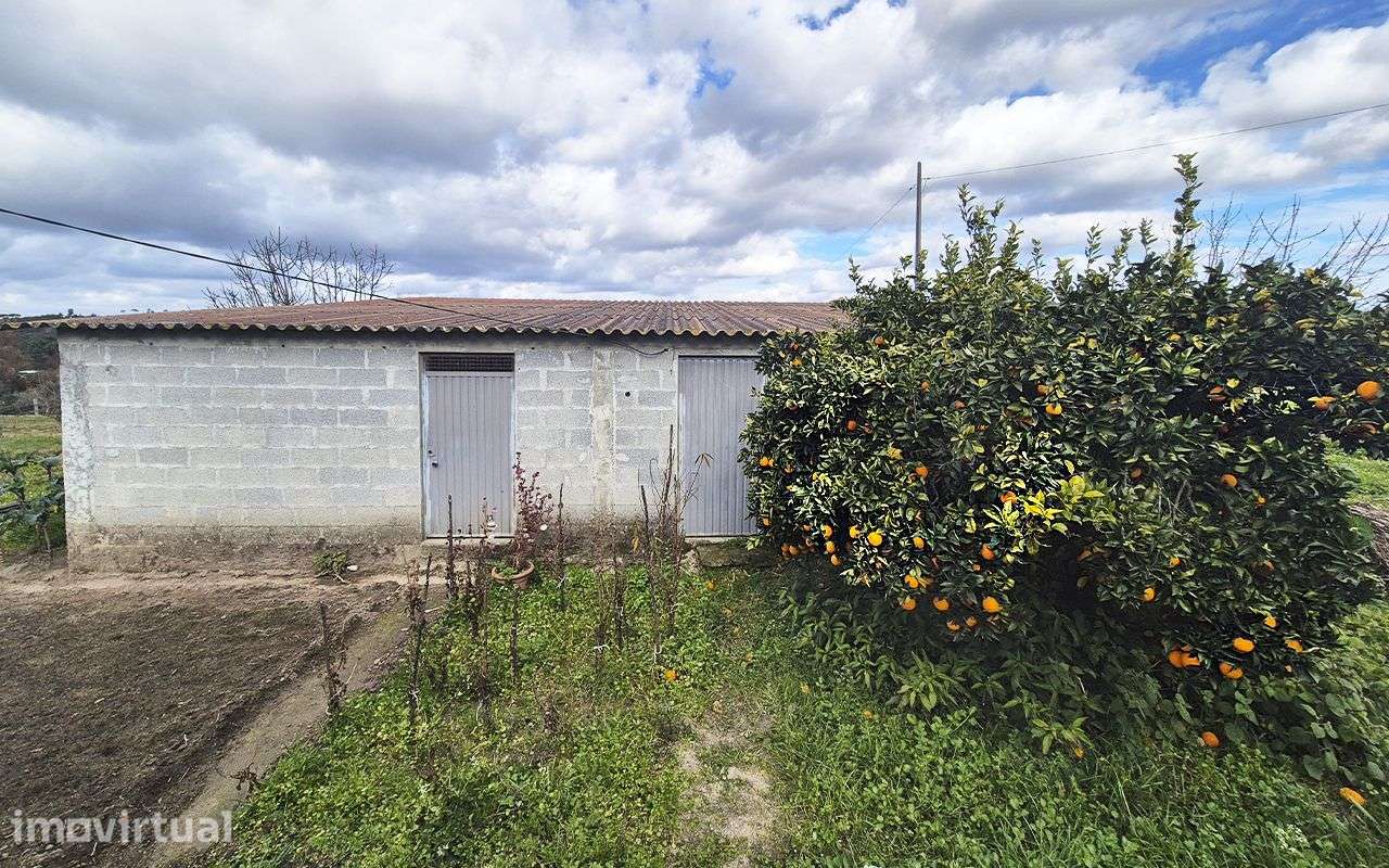 Oportunidade Única, Quinta em Paranhos - Seia - Grande imagem: 5/11
