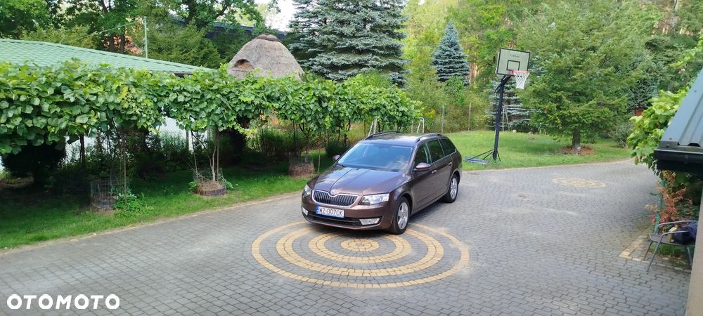 Skoda Octavia 1.2 TSI Ambition DSG - 17