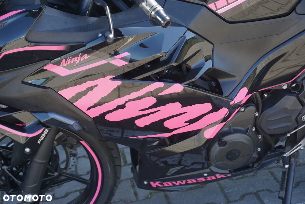 Kawasaki Ninja - 4