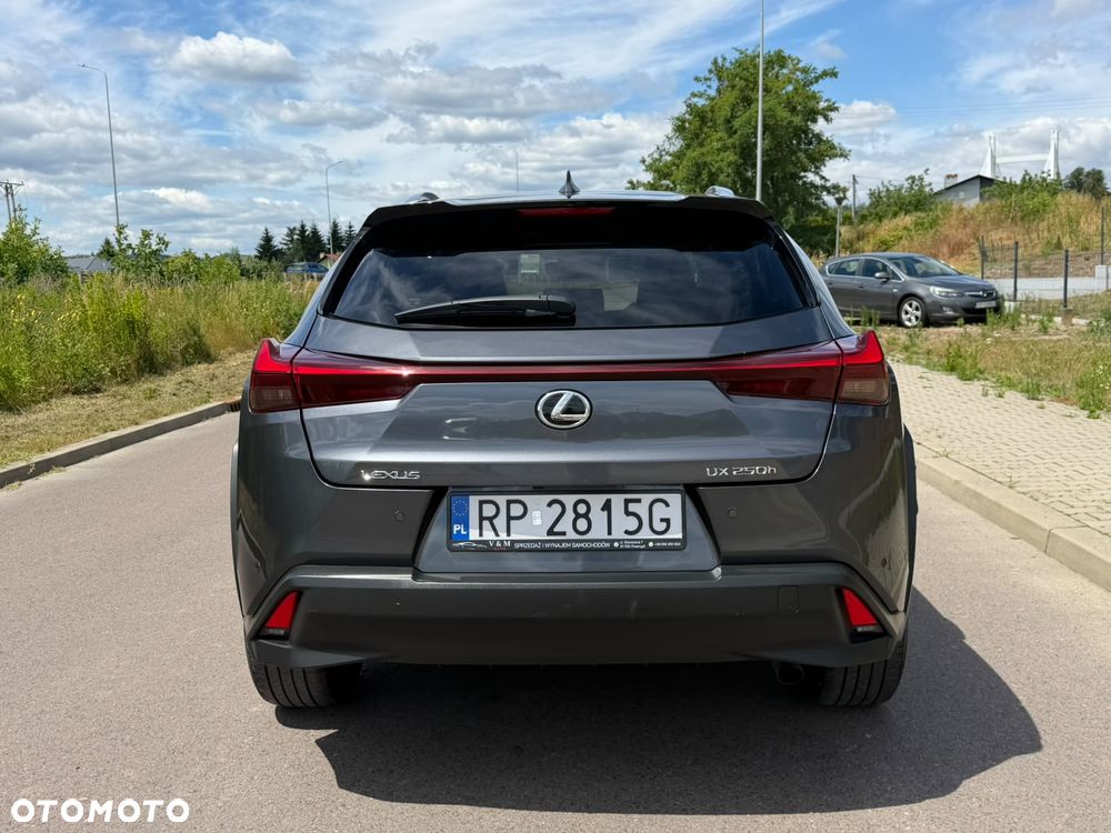 Lexus UX 250h - 9