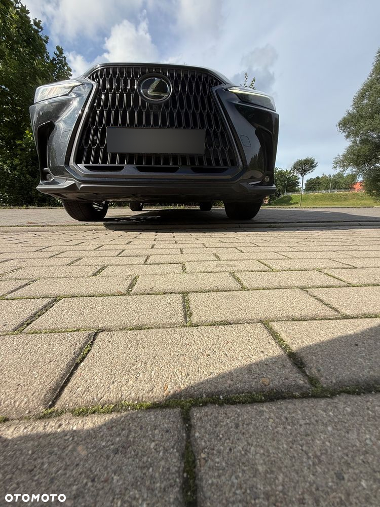 Lexus NX 350h Omotenashi AWD - 29