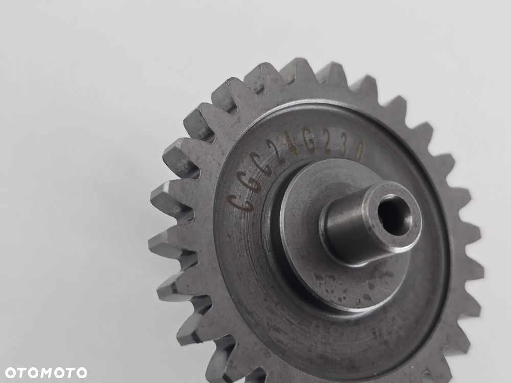 TRYB WALEK KOLO ZEBATE  TRIUMPH SCRAMBLER 400 SPEED - 5