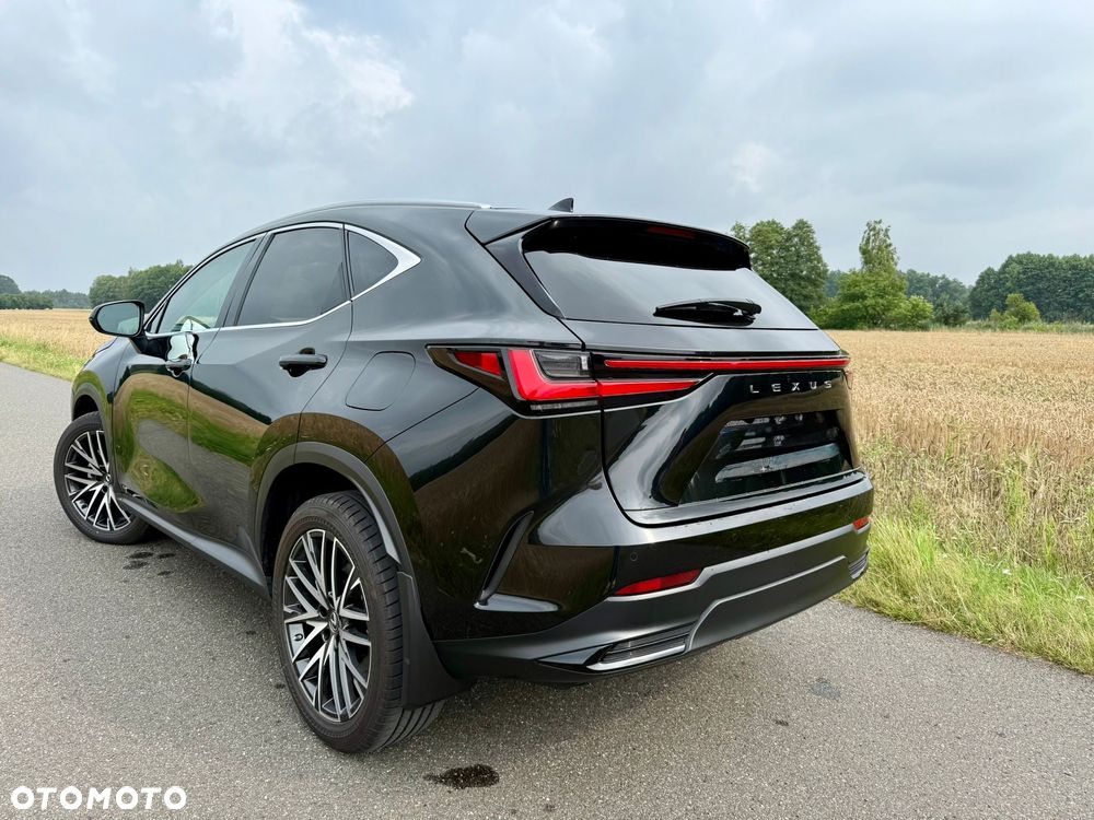 Lexus NX 300 - 6